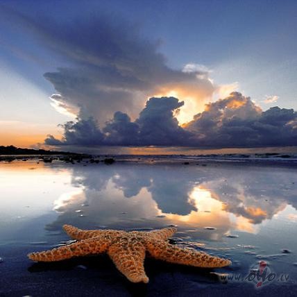 Vakars atp�tai ir dom�ts,smag�s domas j�lai� prom,lai var sap�i br�vi ...