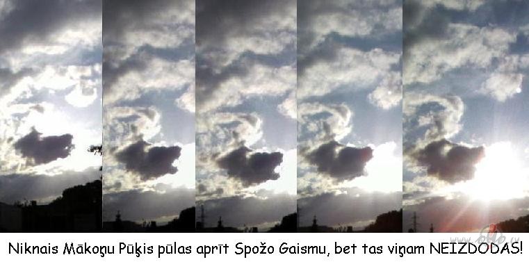 Paldies visiem par veiksmes v�l�jumiem! Skat, ko vakar safotograf�ju ...