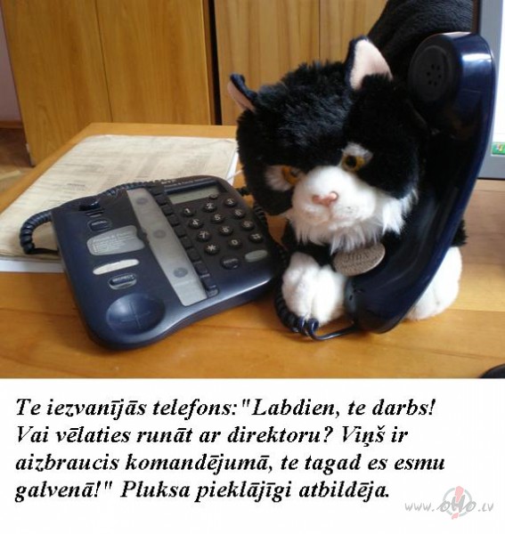 Cik jauki, ka oho pag�uko, vismaz var pasp�t k�dus darbus ...