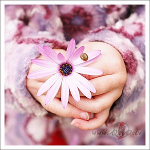 Dainu sp�ks...
Dod, Dievi�,dodamo,
Es sa�em�u �emamo,
Es sa�em�u ...