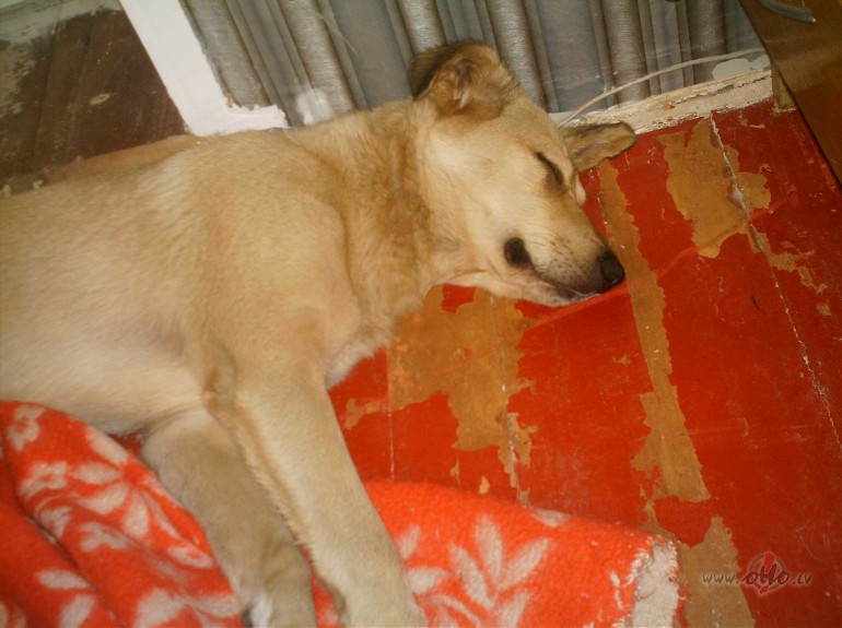 �u� beibe...un lai vai tas neb�tu cik stulbi b�dams, bet pr�t� n�k ...