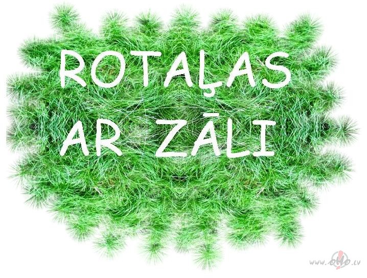 Rota�as ar z�li za�u. T�da sav�da z�le bija, ies�ta skaisti, bet ...