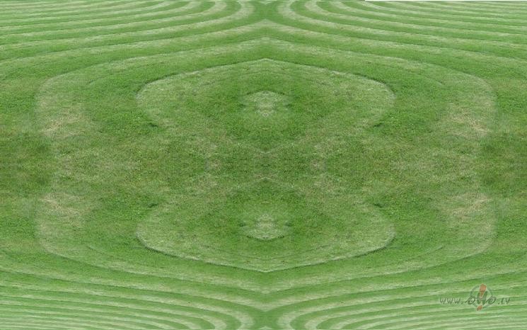 SPECI�LI! Vejslotai:)))