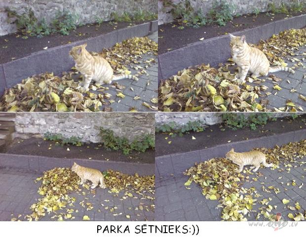 Darbs veicas labi:))