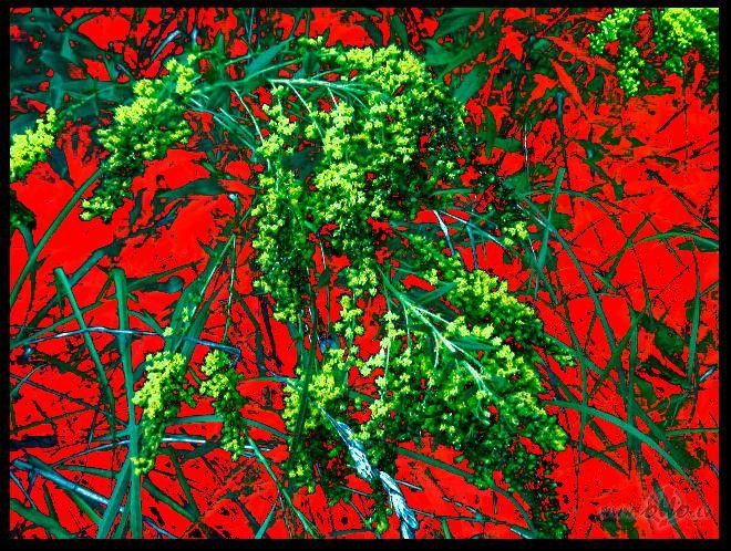 Par rudeni rakstotj�iedzer karsta t�jatad silt�ka ...