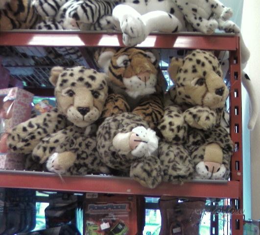 Pagaid�m v�l darbu nemain��u (saskait��u tom�r tos t��erus!)
Paldies ...