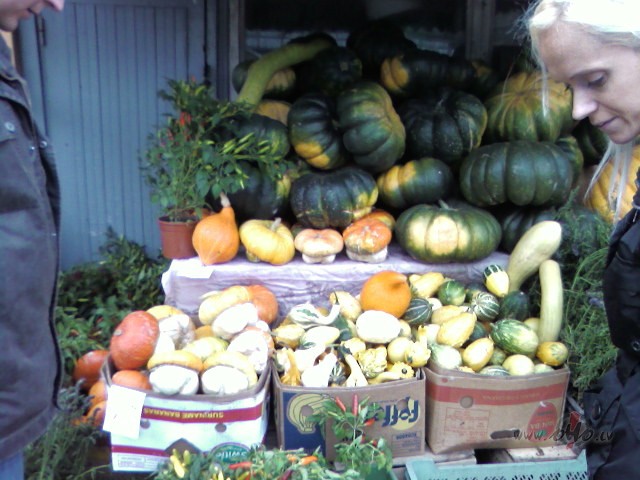 Vis�di �irbuk�i:))