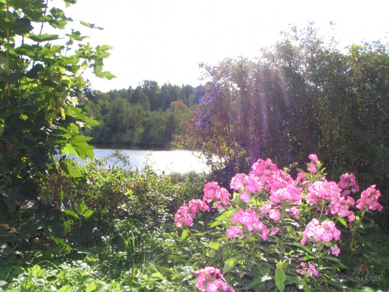 B�s j�tic sinopti�iem - sol�t� saul�te �odien ir kl�t. Un ja nu ...