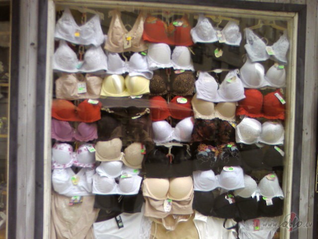 Rudens kr�so da��das lapas,saule sp�d v�si...cool:))