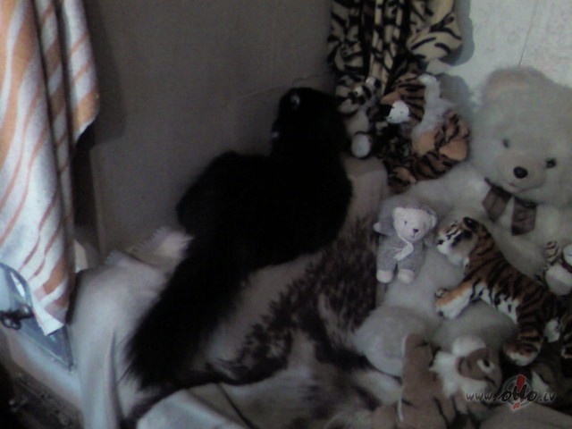 Uzrakstiet kaut ko jauku Pluksai:)) Te vi�a pie kr�sni�as sild�s:))