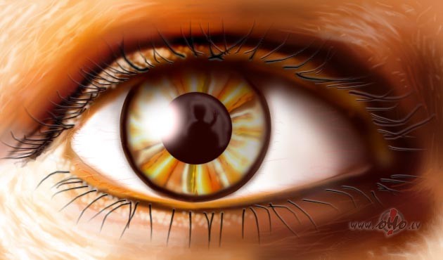 �odien port�l� skumst za�acainie....
Za�as acis - liecina par to, ka ...