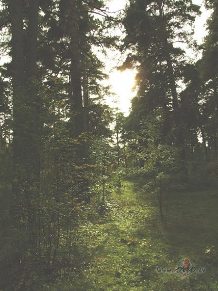 Joprojam burvju me��...