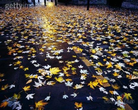 Hip,hip,urr�! Sveiciens visiem,kuriem �odien ir br�va ...