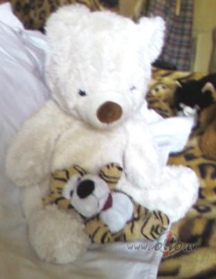 Da�reiz negribas iet uz m�j�m, citreiz - uz darbu:))