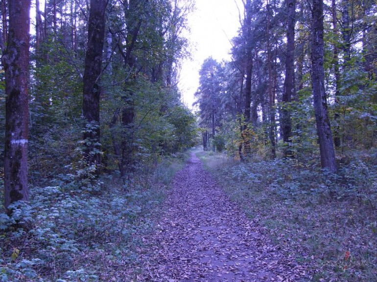 �densv�rs
Tre�diena, 01.10.2008
Ar filozof��anu vien t�lu netiksi. ...