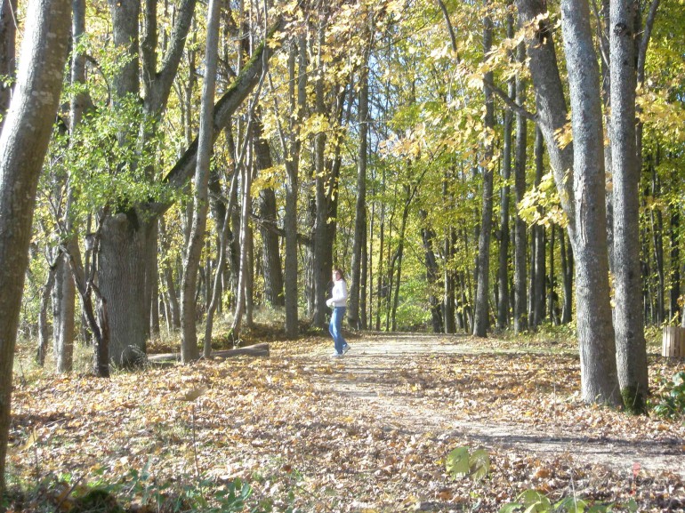 Lietus nomazg� visu za�o kr�su....koki top dzelteni.....