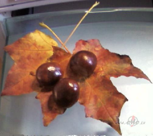 Tr�s kasta�i, tr�s kasta�i:)))