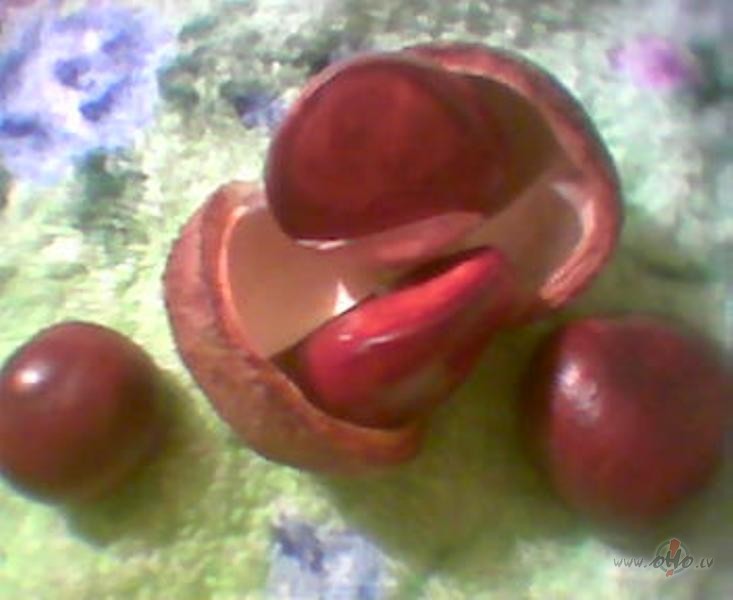 &nbsp; K�ds apgalvo - man pat�k sekss.&nbsp; Tas noz�m�, ka vi�� ir ...