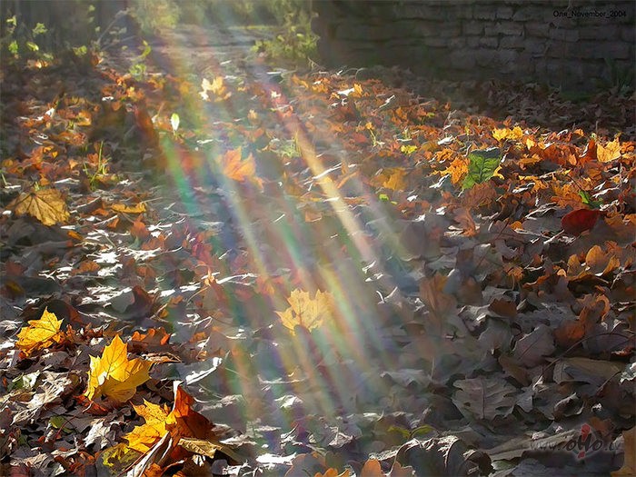 Es paskat�jos debes�s,tur viens d�vainis lidin�s ar kaut k�du ...