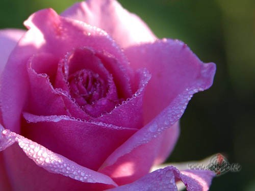 M�lest�ba?
T� ir k�r�u sp�le.
Rau, tur vienam atkal acis gail ...