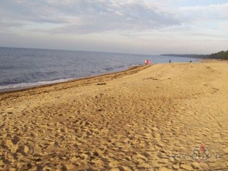 &nbsp;Jo tuv�k j�rai tu dz�vo, jo ret�k to redzi - vienm�r jau ...