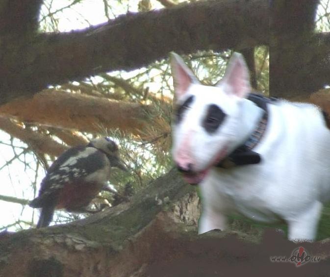 V�l kaut kas...t�da sav�da tik�an�s:))))