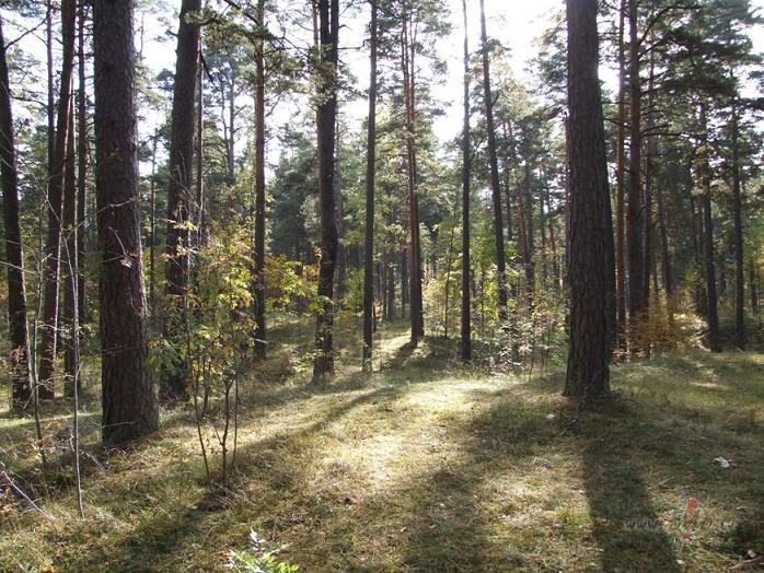 V�l viens...�ito uz desktopa...un pa reizei paskat�ties...