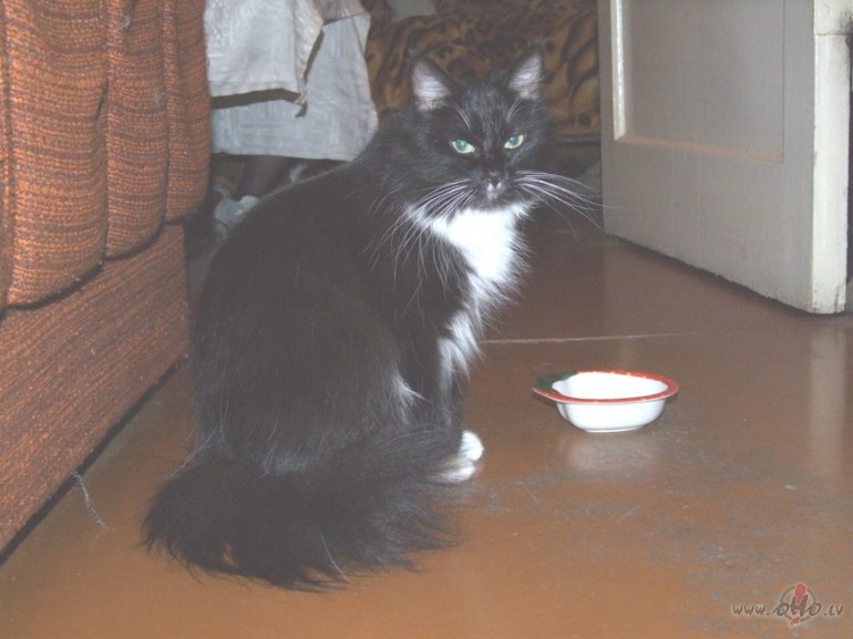 Kas ta mums, m�s tikai&nbsp; t�, mazliet skaist� vakar�...Gaidu ...