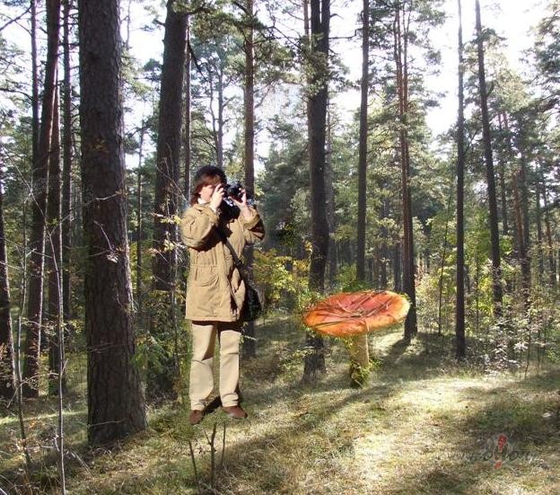 Labr�t:)) r�ts pag�ja fotograf�jot:))