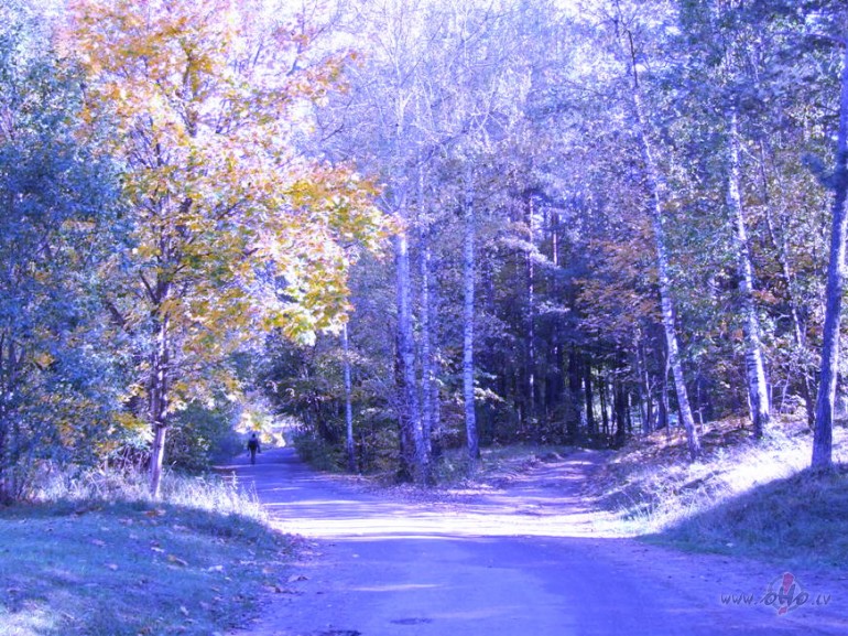 Varb�tvar b�tvar b�t r�tvarb�t aizpar�t 
vai tic�si, princes�t?