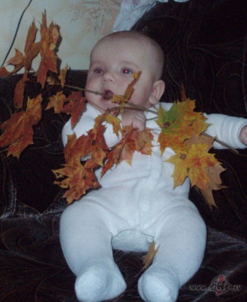 Aicinu pievienot Balsis, jo �oreiz uzvar�s ne jau skaist�kais mazulis ...