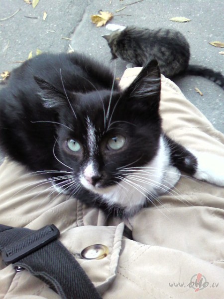 Izdev�s uzk�pt CILV�K�:))