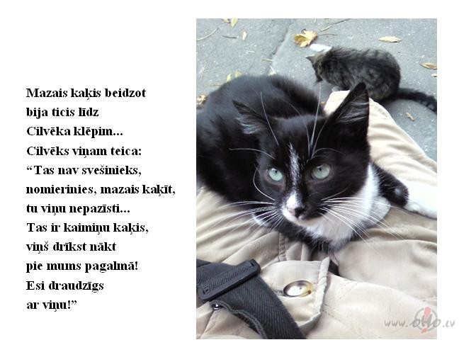 Cik jauki, ka ir labi draugi:)) Gan cilv�kiem, gan ka�iem ar`:)))