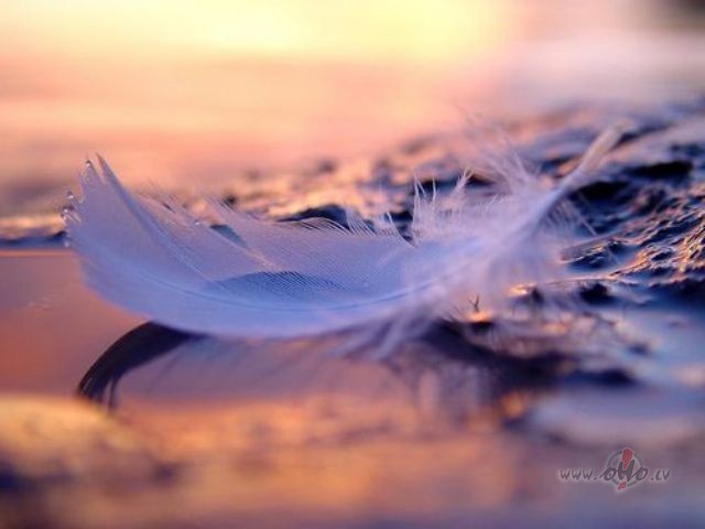 Es Tev aizs�t��u vienu zilpel�ku putnu,Kas no ilg�m nezina kur ...