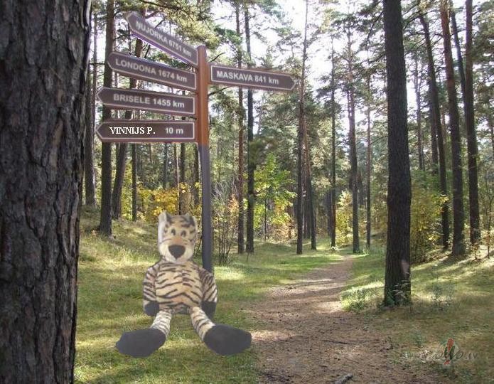 Te viens...kaut kur doties gatavojas:))