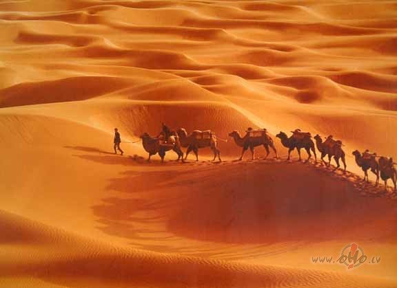 Nu ko, su�i rej,bet karav�na dodas t�l�k...;)