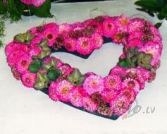 Lai ir gr�t, vajag sp�t ,stipram b�t-uzvaret!!! Ar ko gan nav j�c�n�s ...