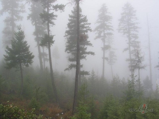 &nbsp;No r�ta -migla,&nbsp;uz ce�a, aiz kr�ma.&nbsp;Pusdien�s - ...