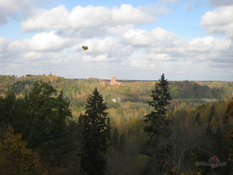 Ruden� koki d�v� savu kr���umu un skaistumu cilv�kiem. Ar kr�to��m ...