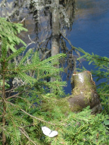 Protiet izmantot sa�emt�s d�vanas un sa�emto m�lest�bu un dalieties ...