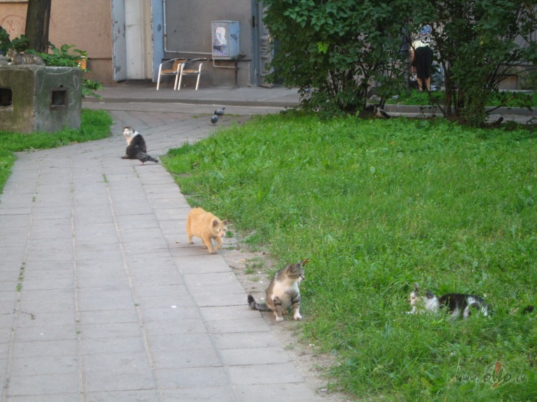 .........................................................................