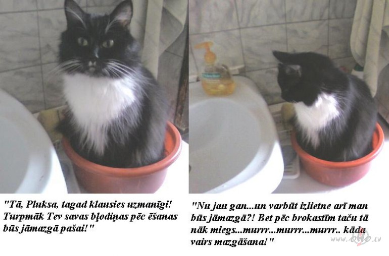 Kaut kas no Pluksas dz�ves:)))