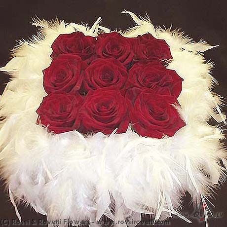 &nbsp;&nbsp;&nbsp;&nbsp;&nbsp;&nbsp;&nbsp;&nbsp;&nbsp;&nbsp;&nbsp; ...