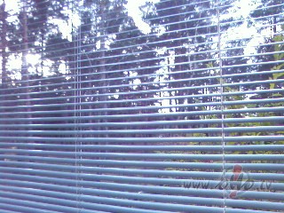 Nemieg� gu�u, nemieg�, man galva ar sniegu pilna. Nedzej� rakstu, ...