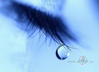 
 
Esmu diezgan nejauka,saec�jos ar vad�t�ju! Vienk�r�i str�d�ju 17 ...