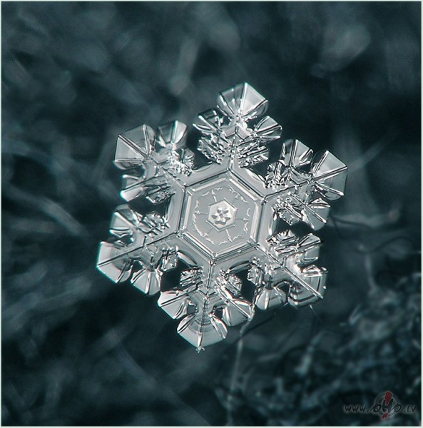 Es d�vinu Tev sniegp�rsli�u mazu,no pirm� pute�a,kas gar�m skrien,lai ...