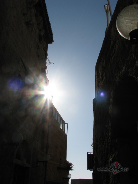 Las�ju �odienas sav� horoskop� v�rdus - 