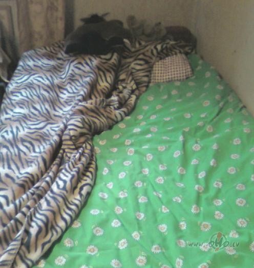 Da�s labs dz�vnieks (Pluksa) neatz�st manis sakl�t�s gultas ...