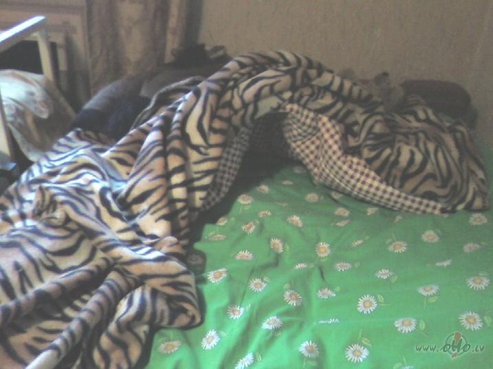 Neliela pal�dz�ba da�am labam dz�vniekam alas b�v� (liel�ko darba ...