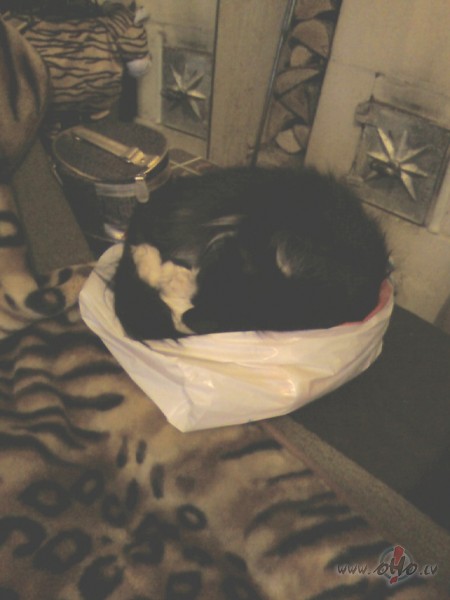 Da�a laba saldi �u�:)) k� traka lauz�s uz maisu ar t�rajiem dvie�iem, ...